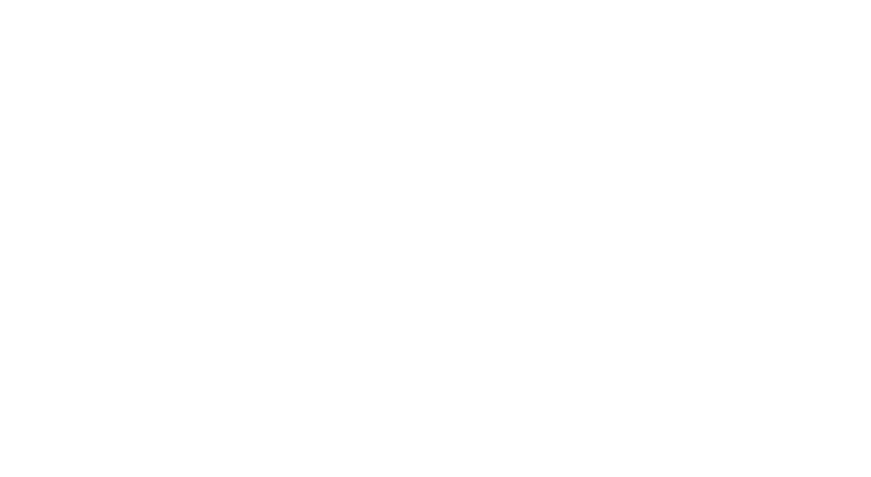 Kingdom Falconry