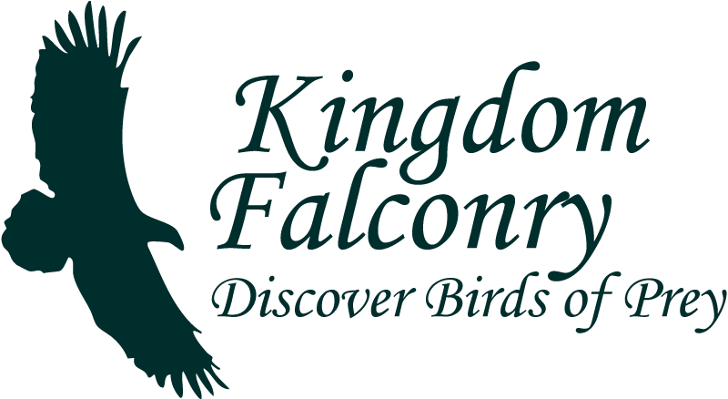 Kingdom Falconry