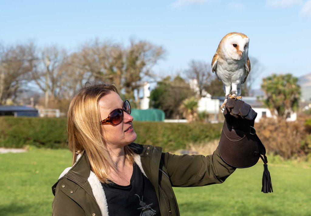 A lady in sunglasses examining an owl