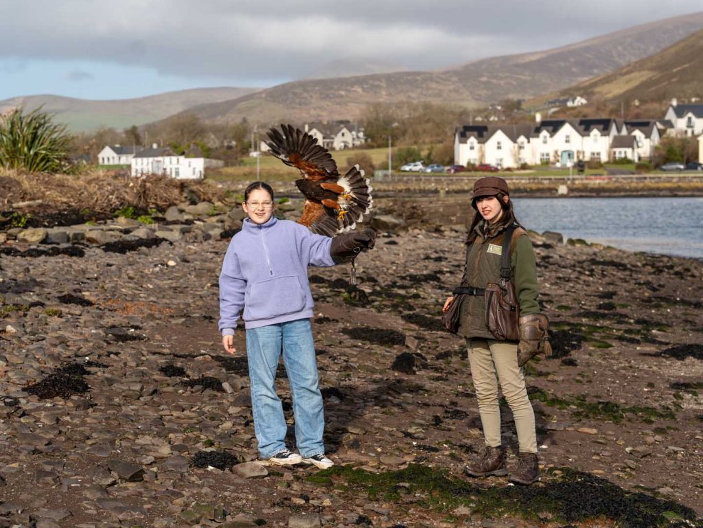 Falconry (46) A bird taking flight near the water