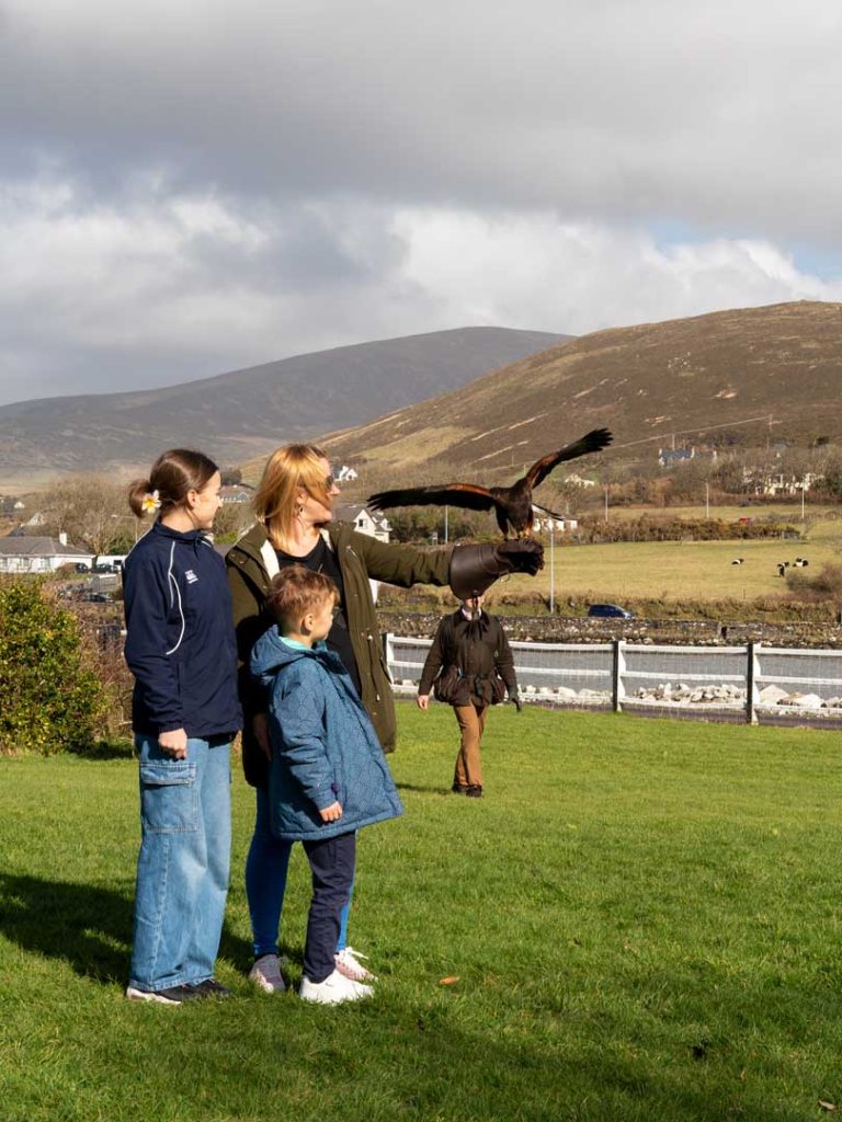 A hawk taking flight from a mothers arm